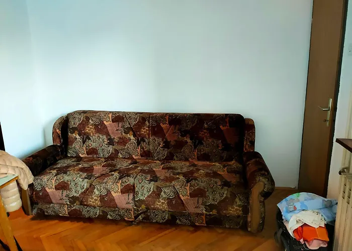 Branko Radicevic Negotin